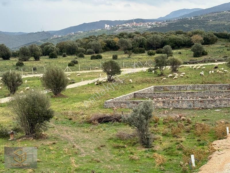 Emiralem Yayla Da İmara 250 M Satılık 248 M² Koop. Parselleri — fotoğraf 10