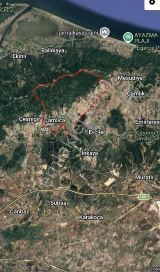 Karacabey Çamlıca'Da 1000 Metre² Tarla