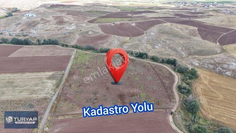 Turyap Sivas | Çukurbelende Tek Tapu Yolu Açık Satılık Tarla