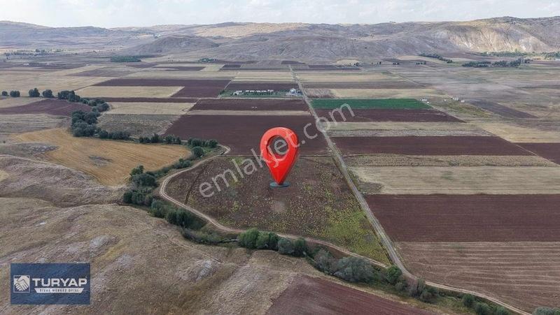 Turyap Sivas | Çukurbelende Tek Tapu Yolu Açık Satılık Tarla — fotoğraf 2