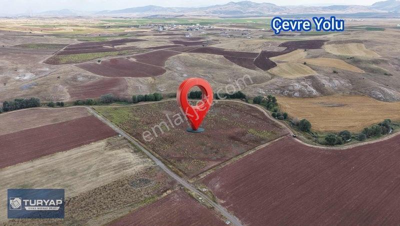 Turyap Sivas | Çukurbelende Tek Tapu Yolu Açık Satılık Tarla — fotoğraf 3