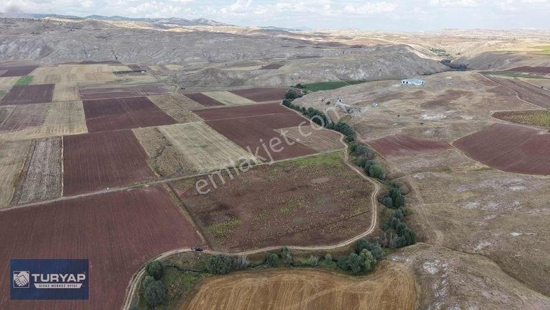 Turyap Sivas | Çukurbelende Tek Tapu Yolu Açık Satılık Tarla — fotoğraf 5