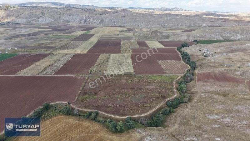 Turyap Sivas | Çukurbelende Tek Tapu Yolu Açık Satılık Tarla — fotoğraf 6