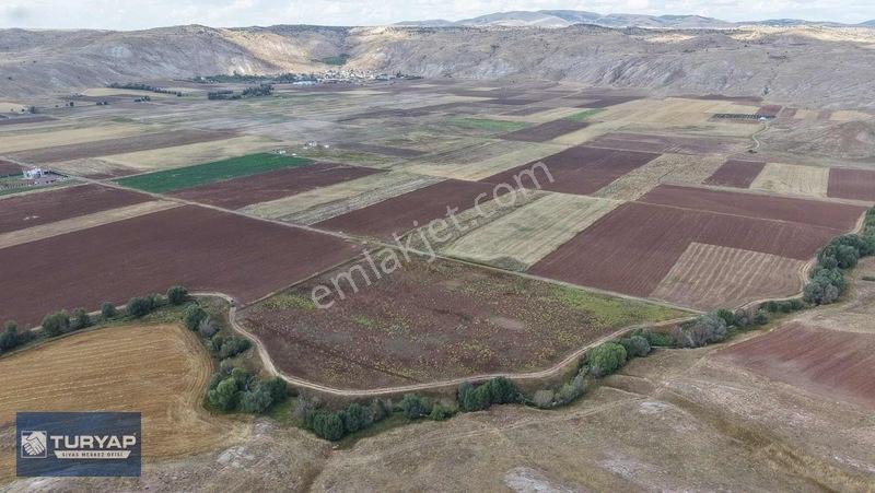 Turyap Sivas | Çukurbelende Tek Tapu Yolu Açık Satılık Tarla — fotoğraf 7