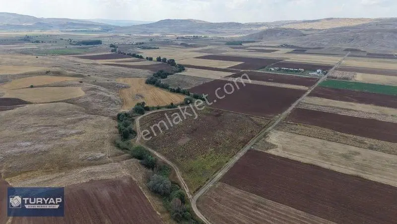 Turyap Sivas | Çukurbelende Tek Tapu Yolu Açık Satılık Tarla — fotoğraf 10
