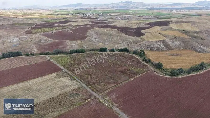 Turyap Sivas | Çukurbelende Tek Tapu Yolu Açık Satılık Tarla — fotoğraf 11