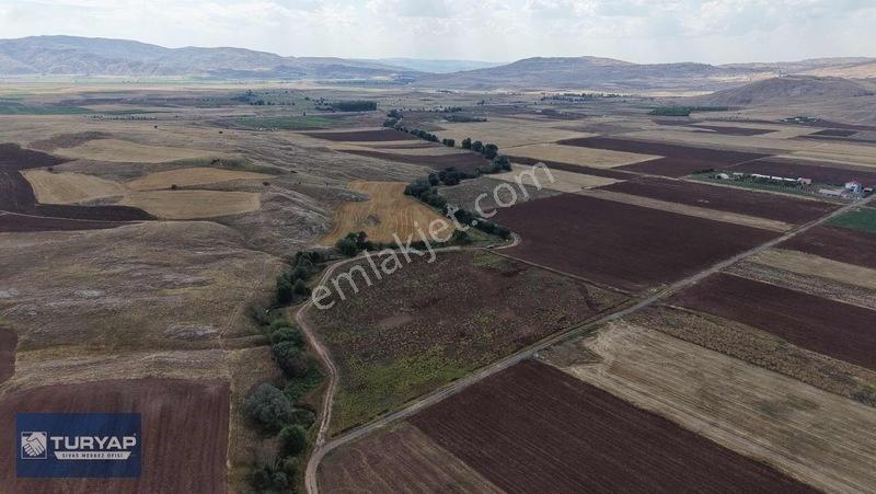 Turyap Sivas | Çukurbelende Tek Tapu Yolu Açık Satılık Tarla — fotoğraf 12