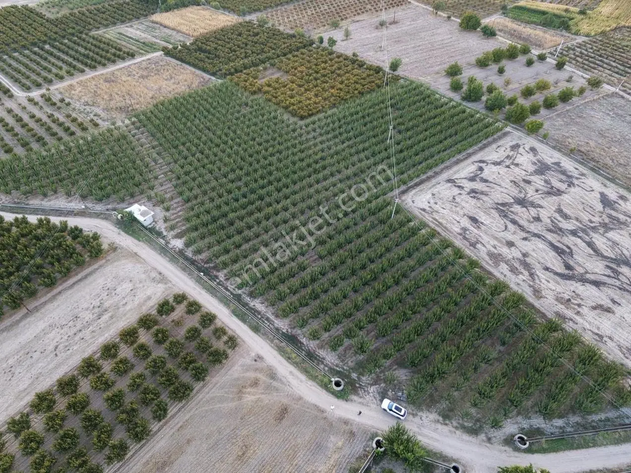 Çivril'İn İncisi Menteş Mahallesinde 13.900 M2 Hazır Verim Veren Satılık Kayısı...