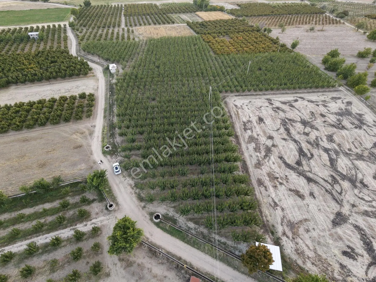 Çivril'in İncisi Menteş Mahallesinde 13.900 M2 Hazır Verim Veren Satılık Kayısı Bahçesi...!!!!!!!!!! — fotoğraf 2