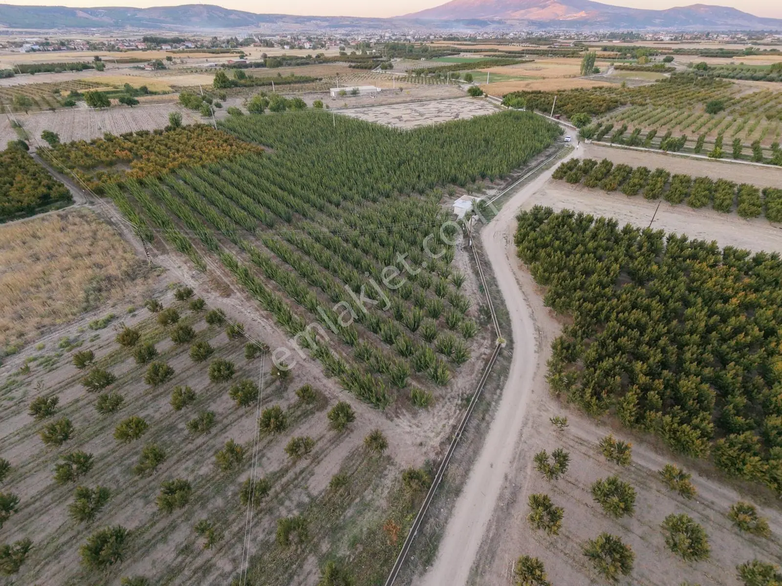 Çivril'in İncisi Menteş Mahallesinde 13.900 M2 Hazır Verim Veren Satılık Kayısı Bahçesi...!!!!!!!!!! — fotoğraf 3