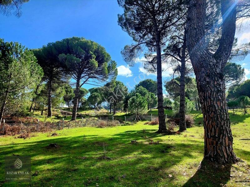 Bergama Kozak Göbeller Bahçe Satılık