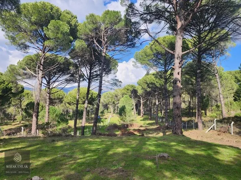 Bergama Kozak Göbeller Bahçe Satılık — fotoğraf 2