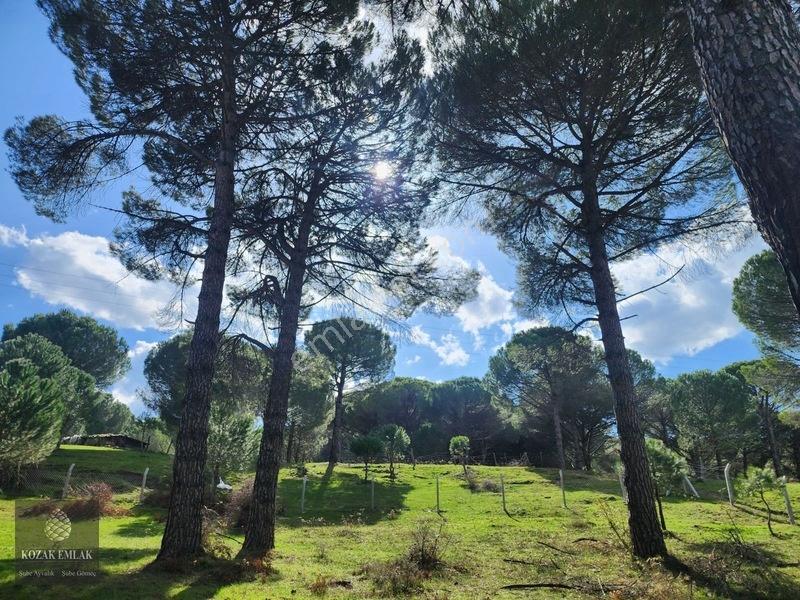 Bergama Kozak Göbeller Bahçe Satılık — fotoğraf 7