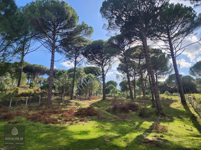 Bergama Kozak Göbeller Bahçe Satılık — fotoğraf 8