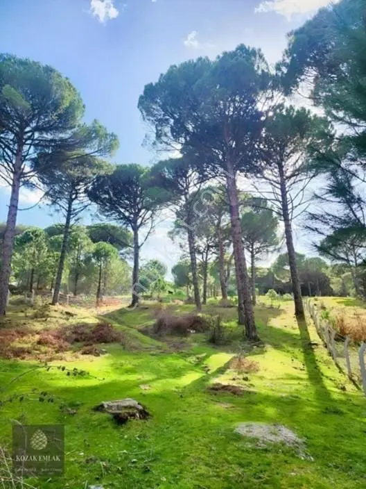 Bergama Kozak Göbeller Bahçe Satılık — fotoğraf 14