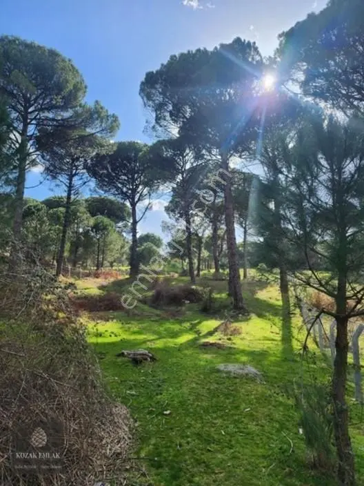 Bergama Kozak Göbeller Bahçe Satılık — fotoğraf 16