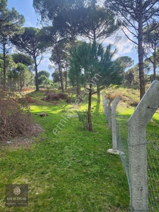Bergama Kozak Göbeller Bahçe Satılık — fotoğraf 25