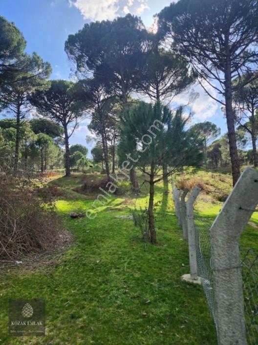 Bergama Kozak Göbeller Bahçe Satılık — fotoğraf 28