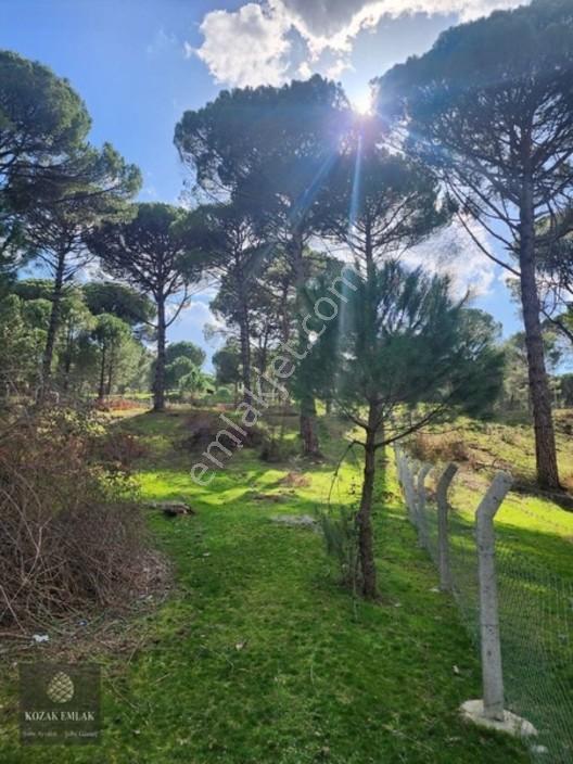 Bergama Kozak Göbeller Bahçe Satılık — fotoğraf 29