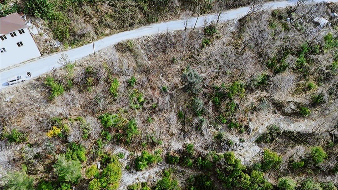 Emlakparktan Süleymanlar Köyünde Satılık 2389m2 Tarla — fotoğraf 4