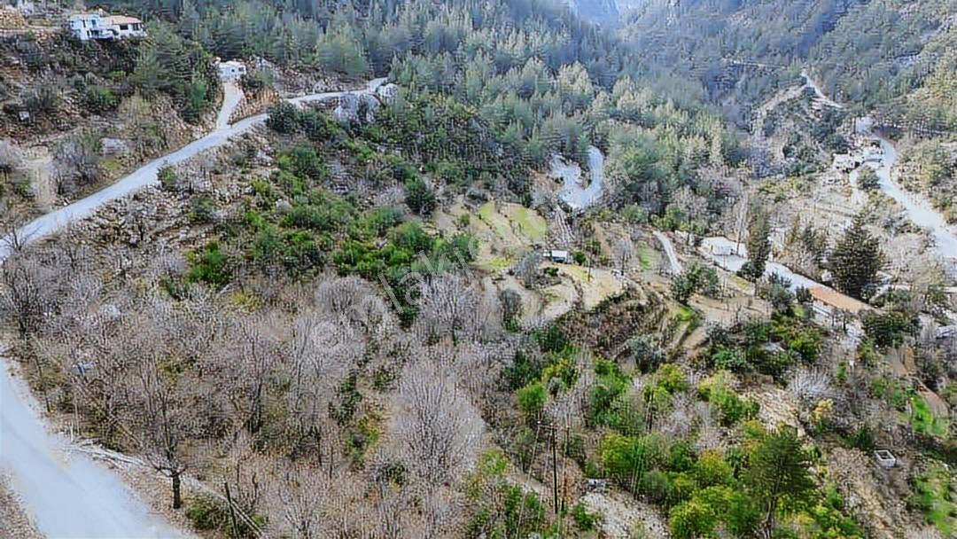 Emlakparktan Süleymanlar Köyünde Satılık 2389m2 Tarla — fotoğraf 7