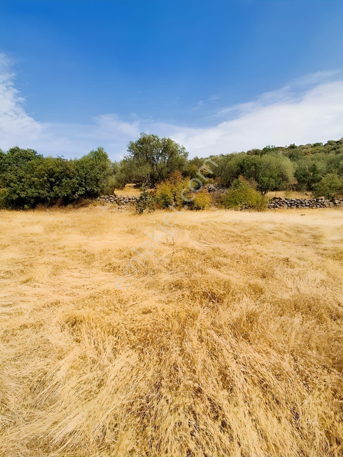 Uzun Emlaktan Karakılınçlıda 17.200 M2 Tarla Yolu Var