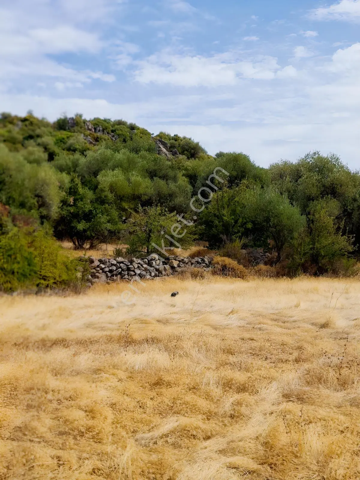 Uzun Emlaktan Karakılınçlıda 17.200 M2 Tarla Yolu Var — fotoğraf 2