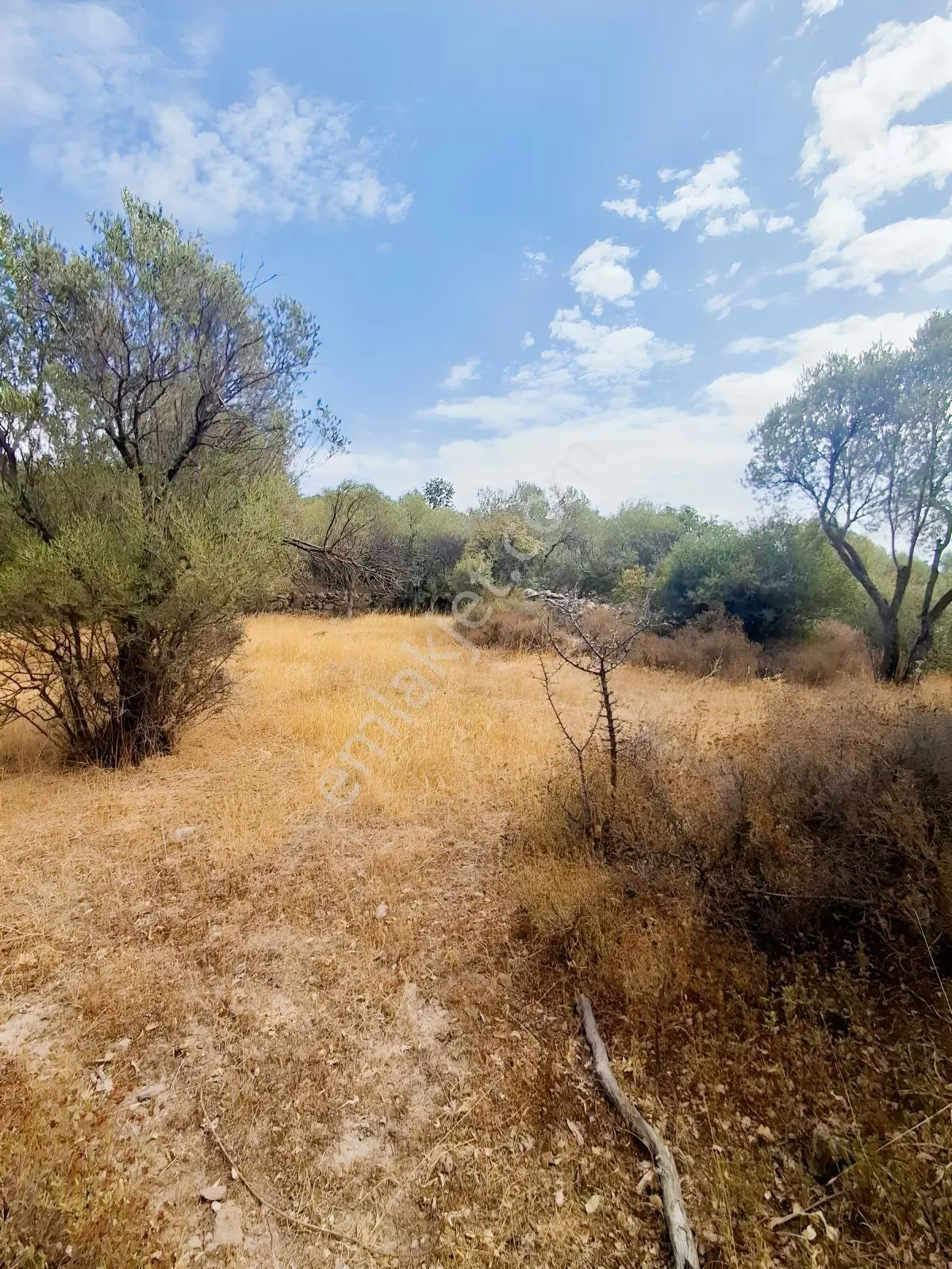 Uzun Emlaktan Karakılınçlıda 17.200 M2 Tarla Yolu Var — fotoğraf 3