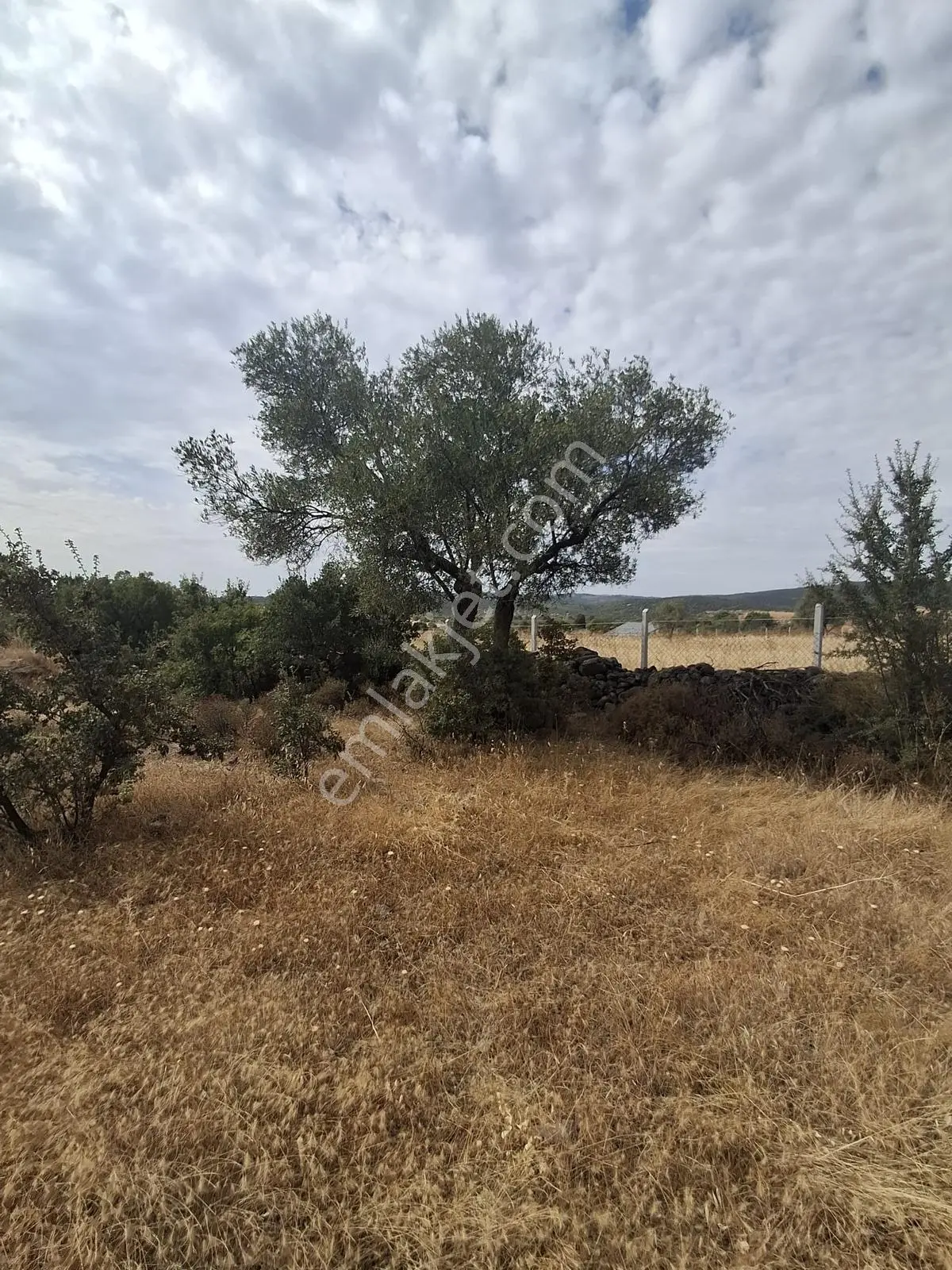 Uzun Emlaktan Karakılınçlıda 17.200 M2 Tarla Yolu Var — fotoğraf 4