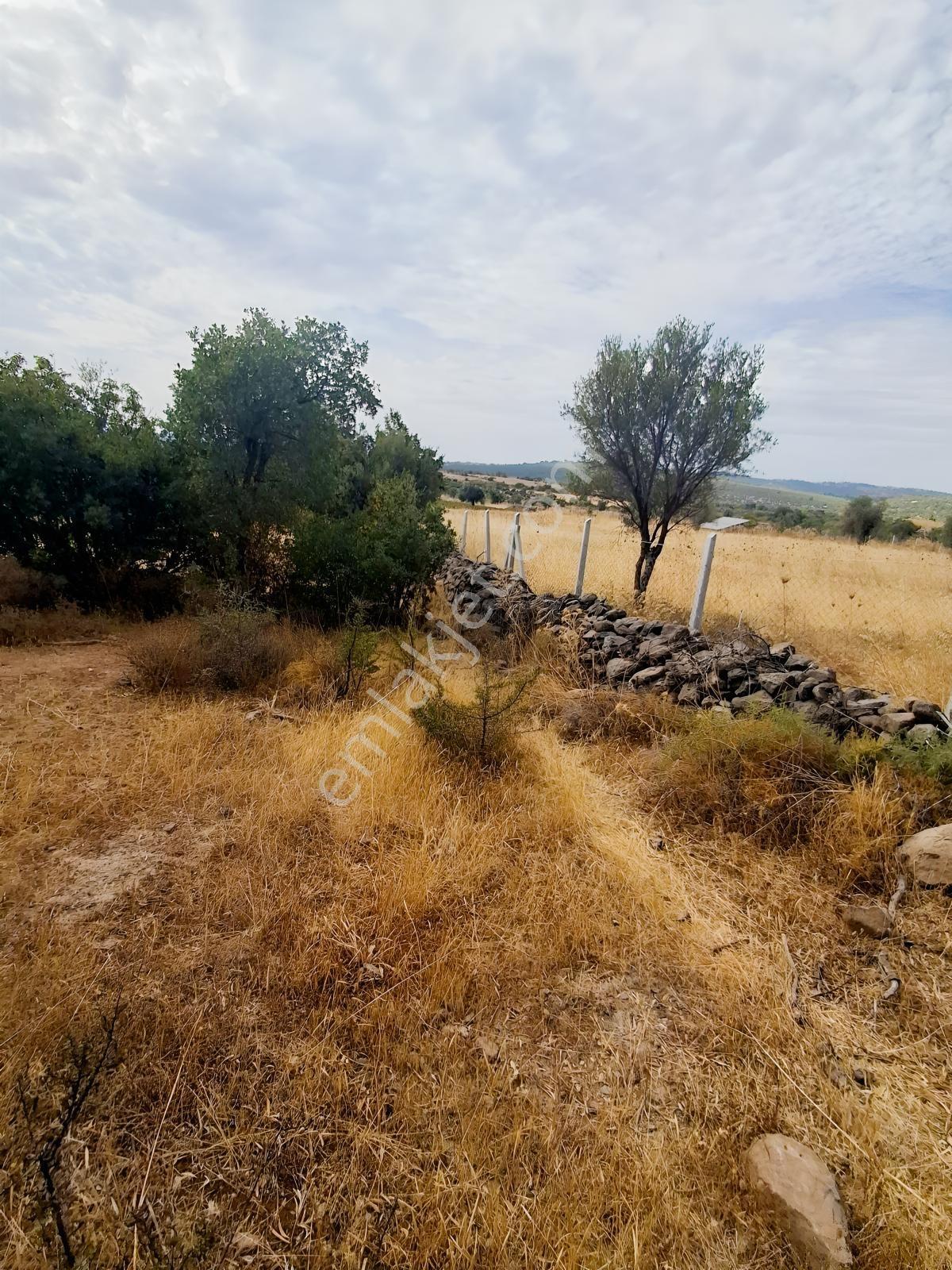 Uzun Emlaktan Karakılınçlıda 17.200 M2 Tarla Yolu Var — fotoğraf 6