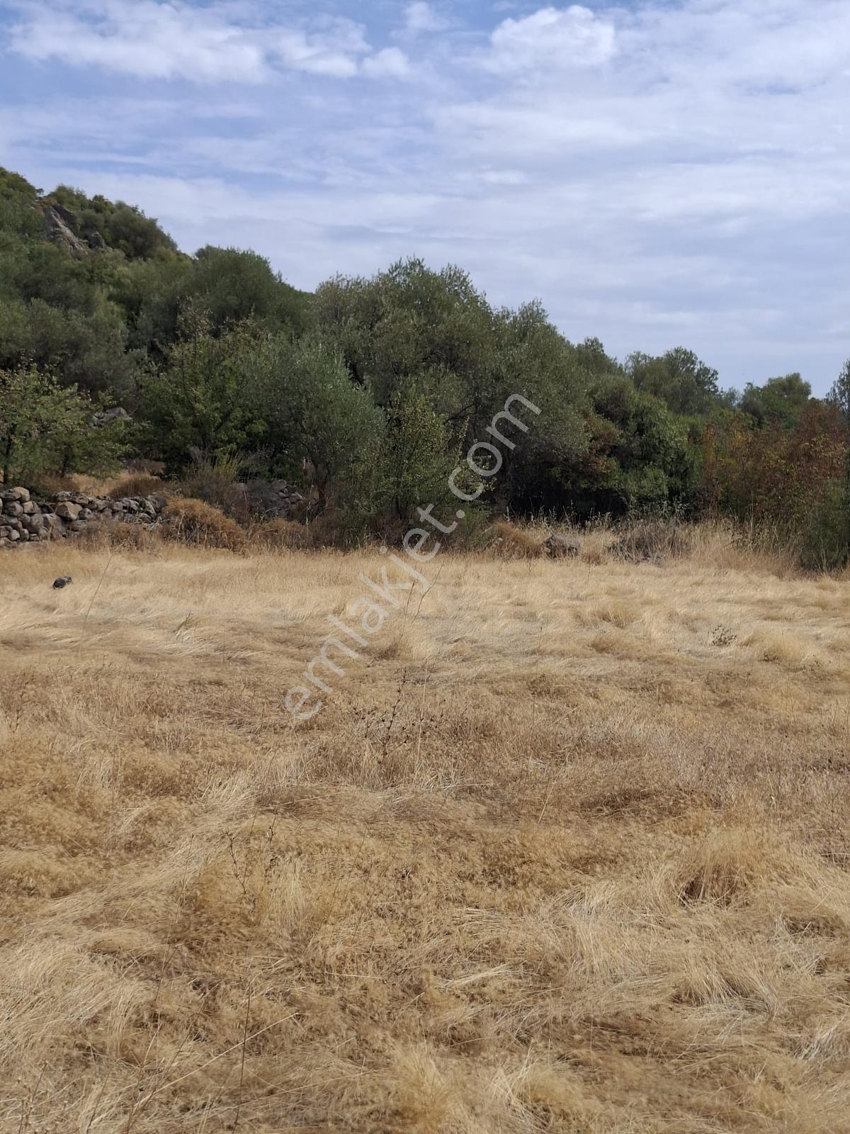 Uzun Emlaktan Karakılınçlıda 17.200 M2 Tarla Yolu Var — fotoğraf 7