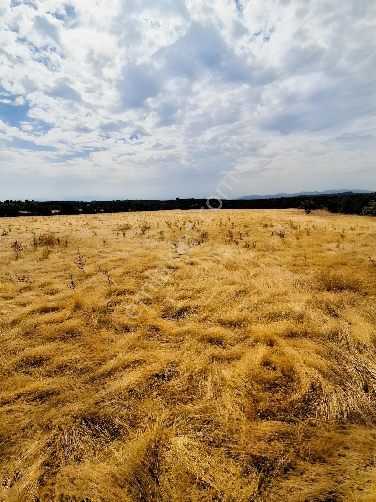 Uzun Emlaktan Karakılınçlıda 17.200 M2 Tarla Yolu Var — fotoğraf 11