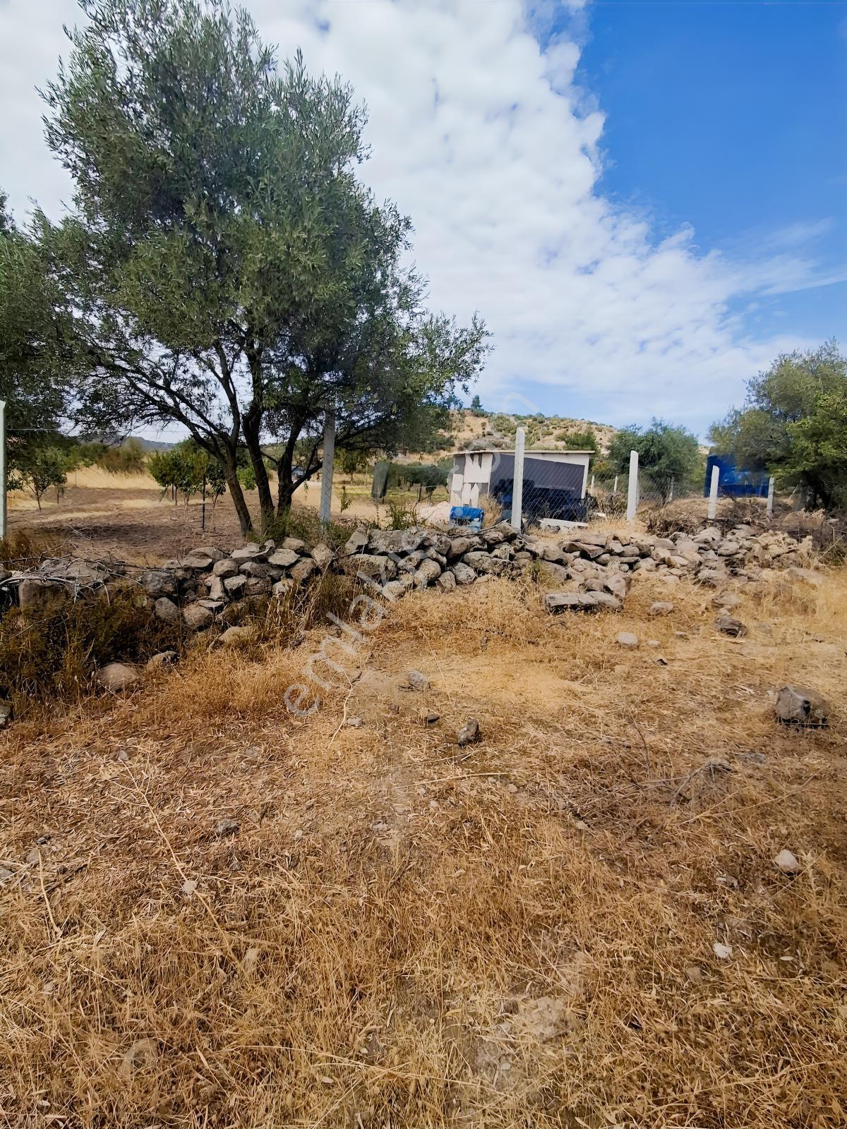 Uzun Emlaktan Karakılınçlıda 17.200 M2 Tarla Yolu Var — fotoğraf 12