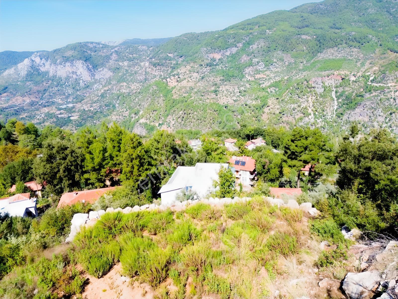 Emlakparktan Türktaş Yaylasında Satılık 687m2 Tarla — fotoğraf 3