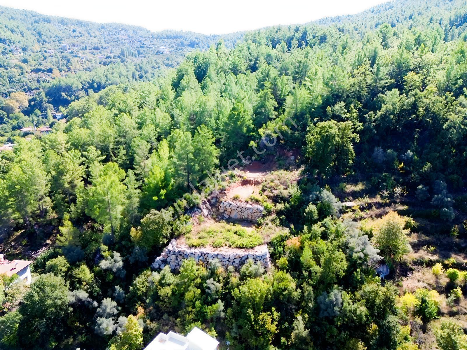 Emlakparktan Türktaş Yaylasında Satılık 687m2 Tarla — fotoğraf 5