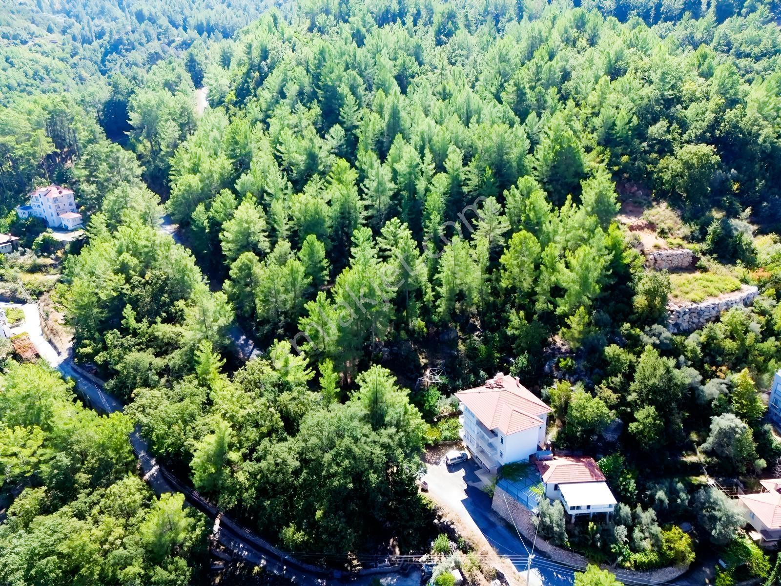 Emlakparktan Türktaş Yaylasında Satılık 687m2 Tarla — fotoğraf 6