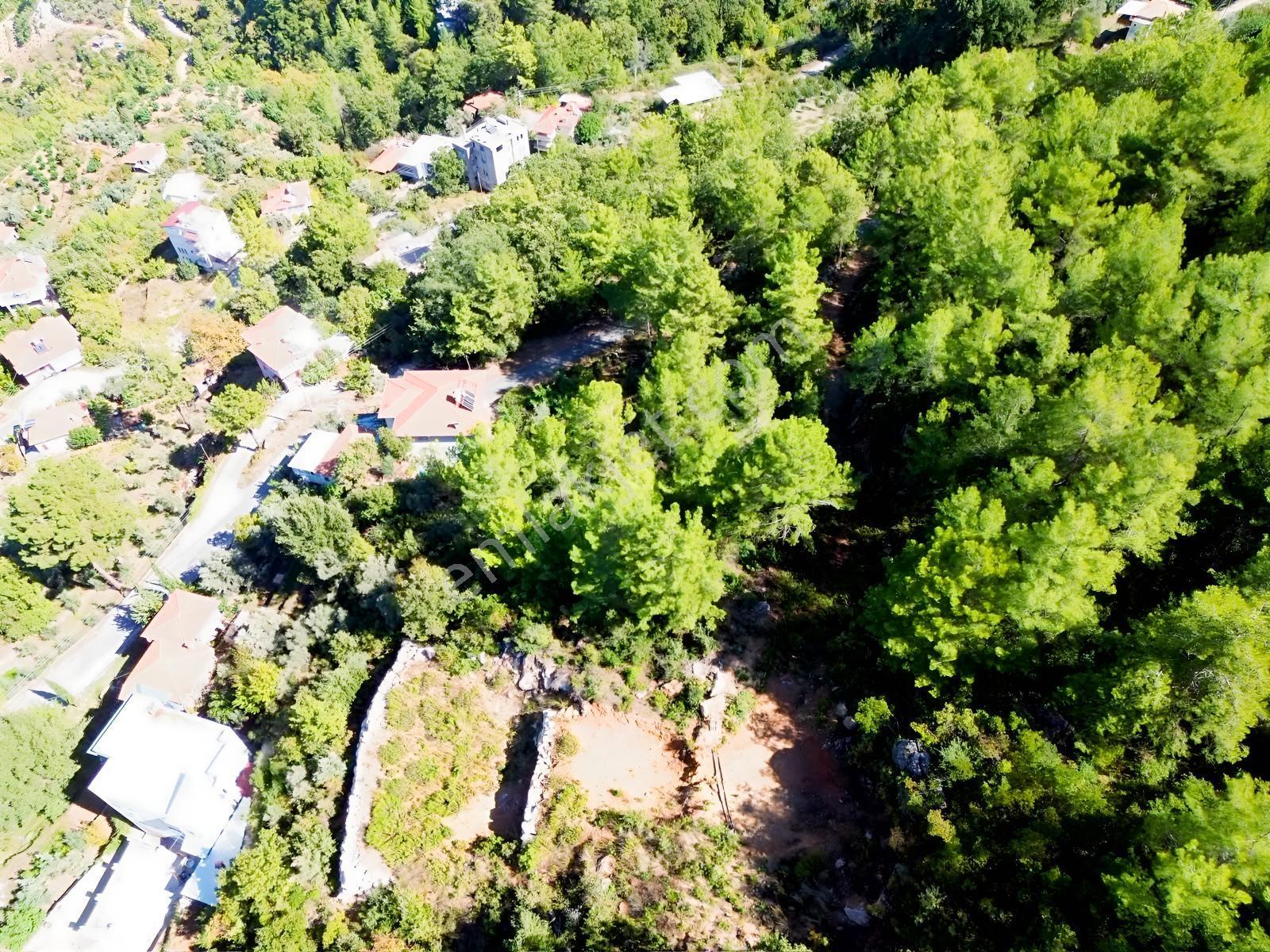 Emlakparktan Türktaş Yaylasında Satılık 687m2 Tarla — fotoğraf 8