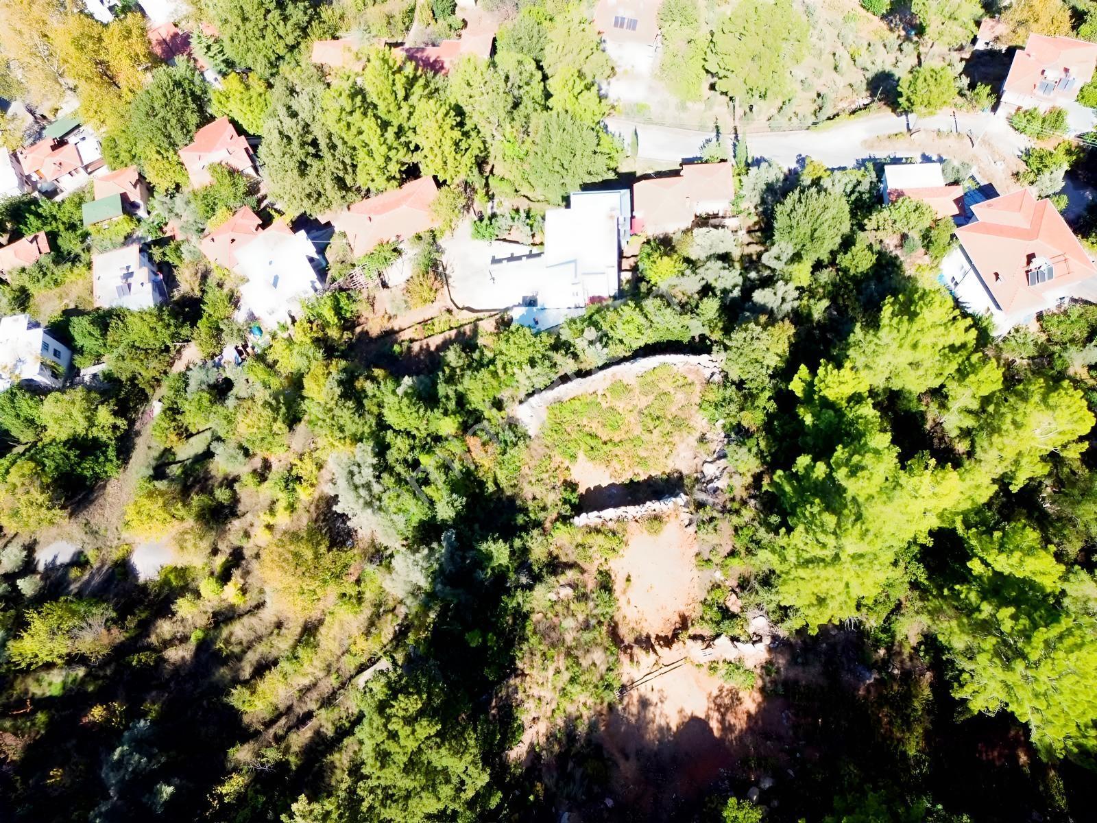 Emlakparktan Türktaş Yaylasında Satılık 687m2 Tarla — fotoğraf 10