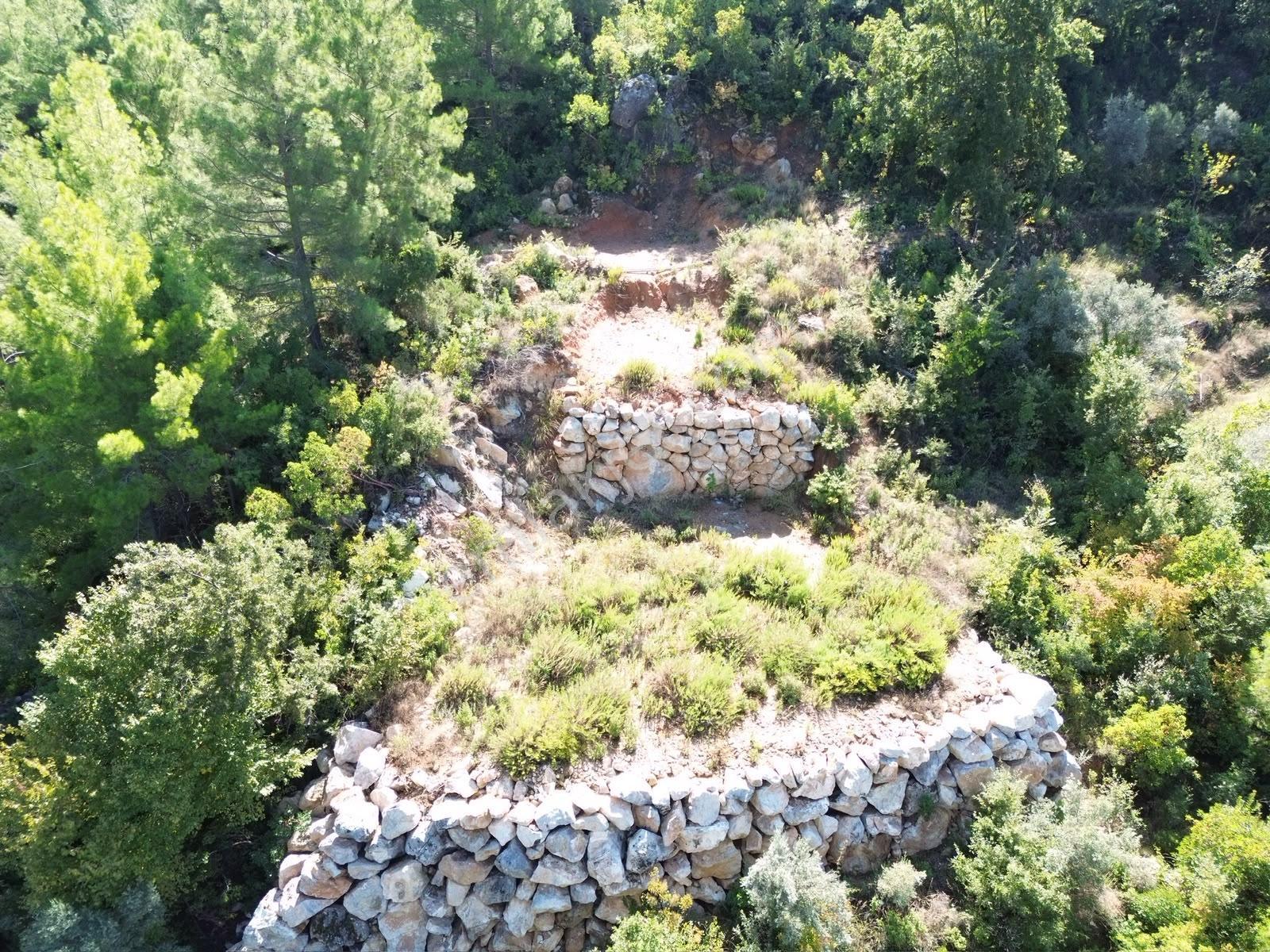 Emlakparktan Türktaş Yaylasında Satılık 687m2 Tarla — fotoğraf 11