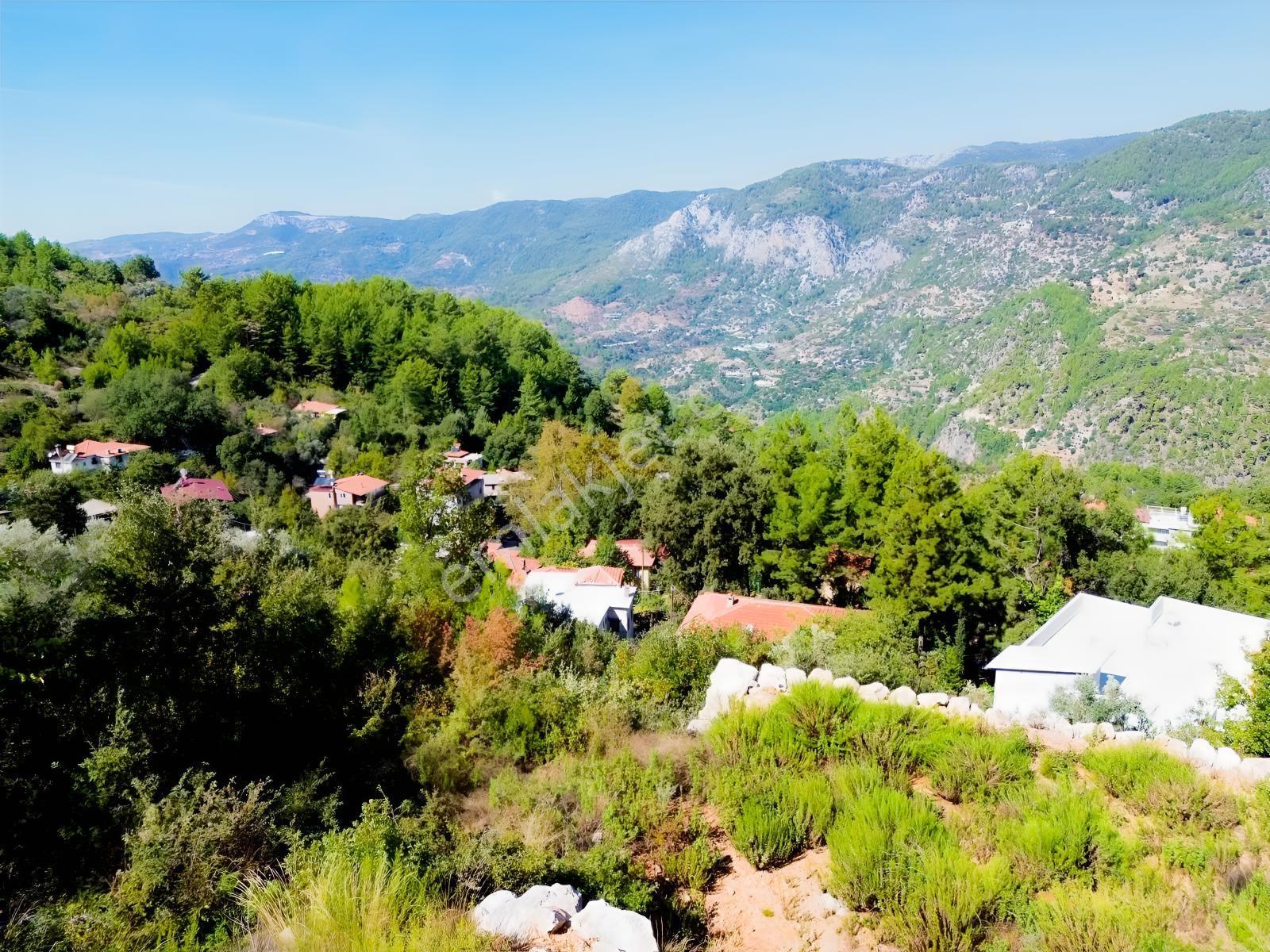 Emlakparktan Türktaş Yaylasında Satılık 687m2 Tarla — fotoğraf 13