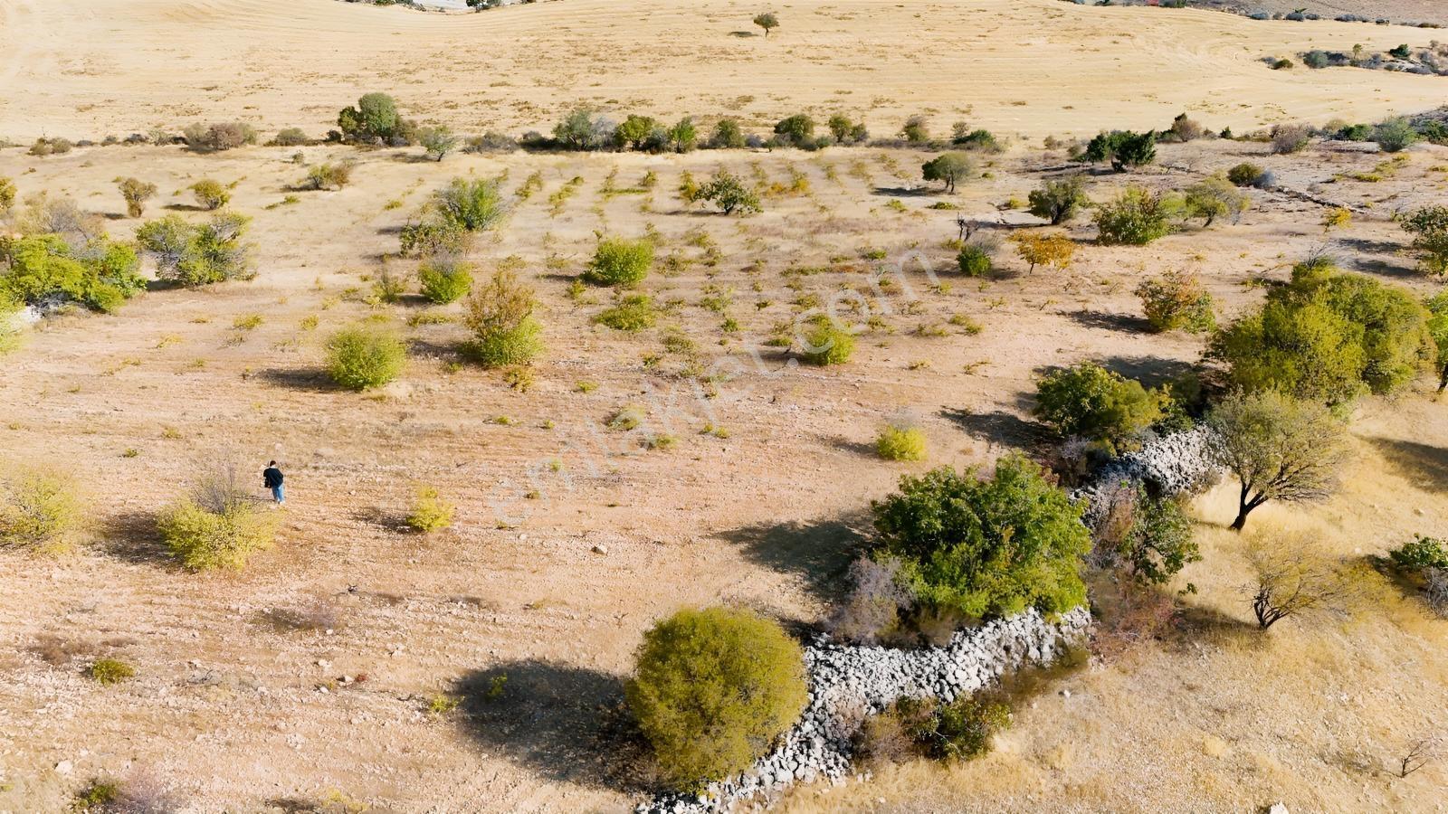 Hakev'den Oyalı Da Satılık A3 İmarlı 669 M2 Satılık Arsa — fotoğraf 3
