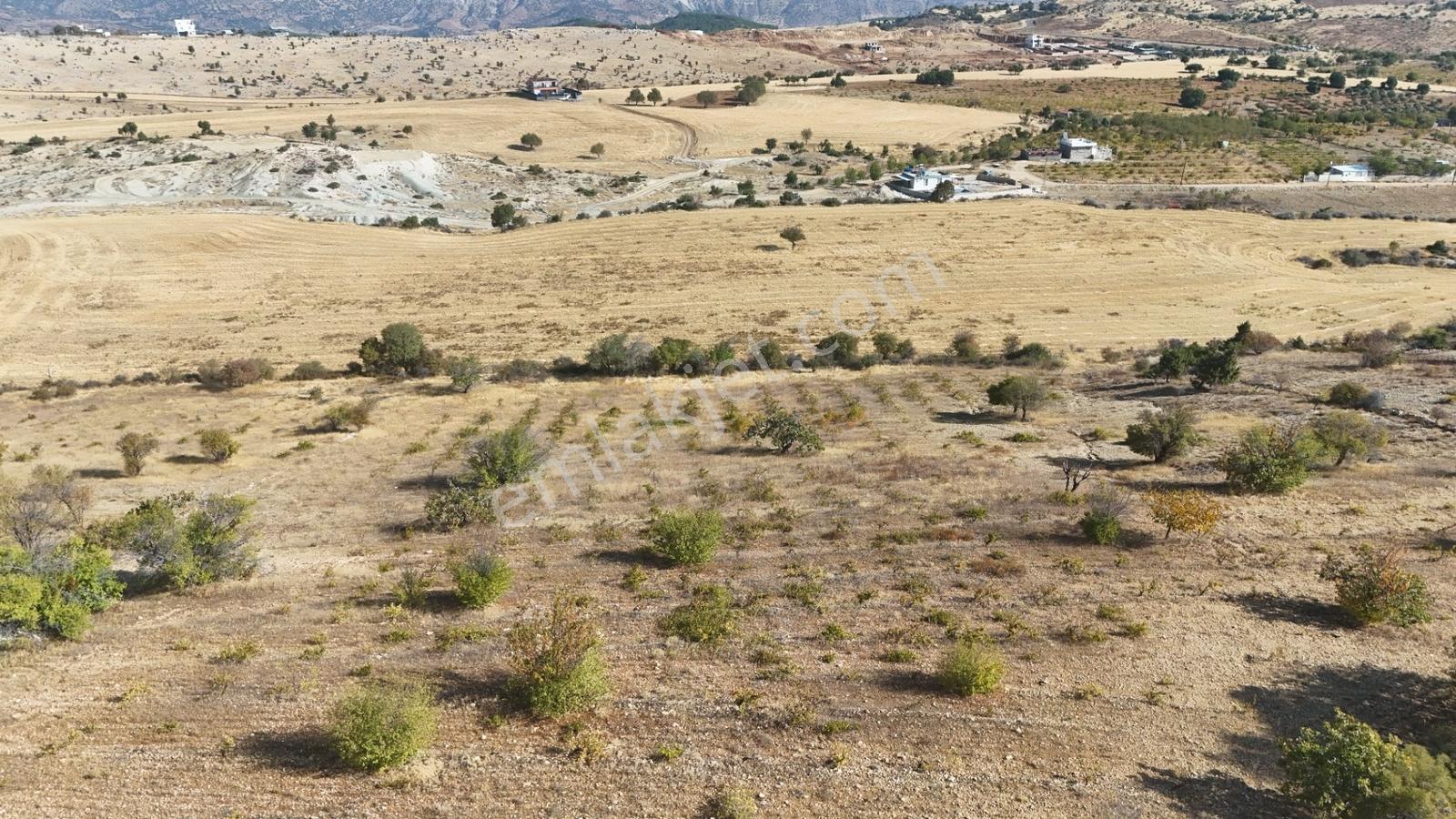 Hakev'den Oyalı Da Satılık A3 İmarlı 669 M2 Satılık Arsa — fotoğraf 12