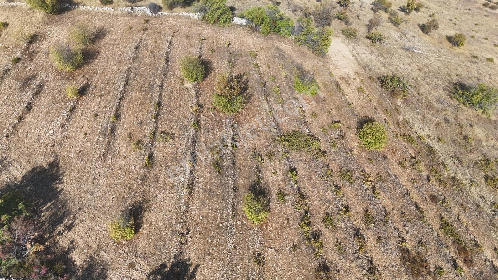 Hakev'den Oyalı Da Satılık A3 İmarlı 669 M2 Satılık Arsa — fotoğraf 14