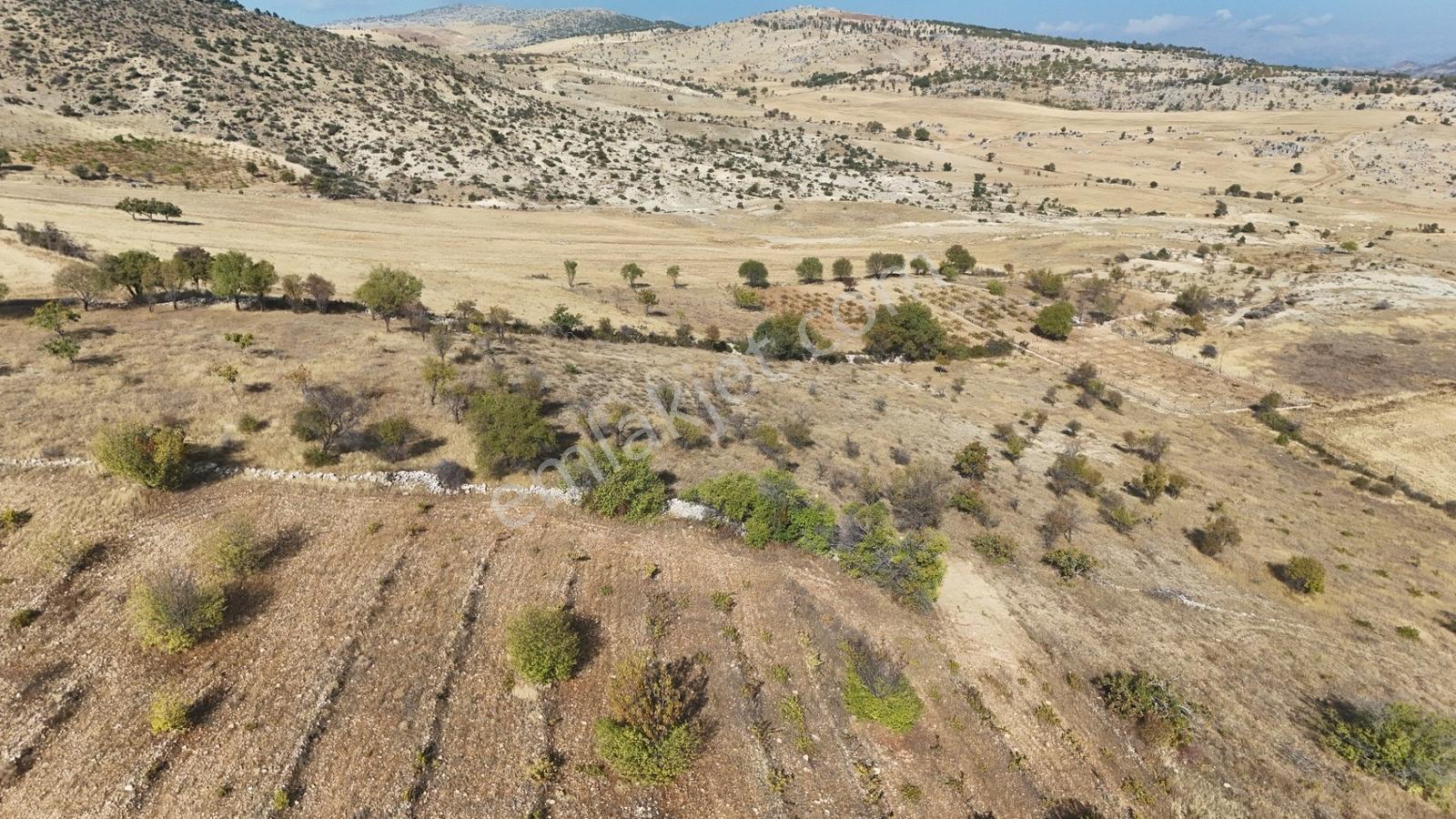 Hakev'den Oyalı Da Satılık A3 İmarlı 669 M2 Satılık Arsa — fotoğraf 16