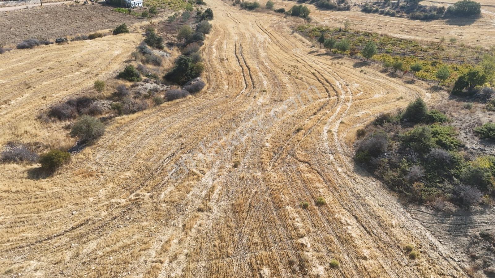 Hakev'den Oyalıda Satılık 894 M2 Arsa — fotoğraf 2
