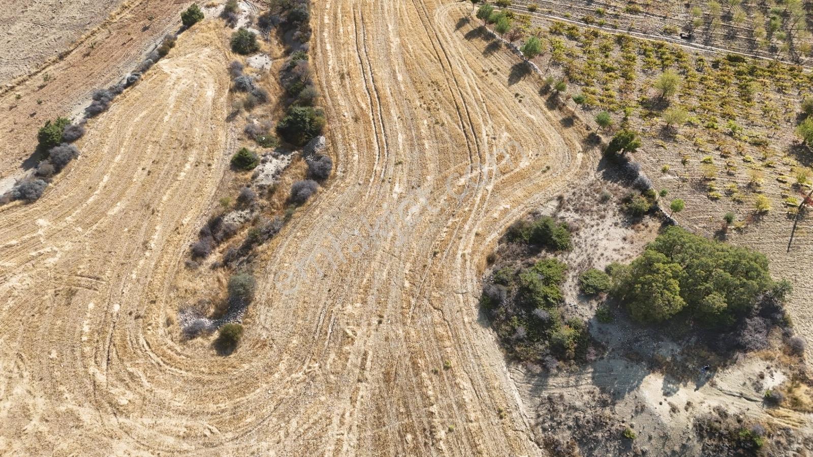 Hakev'den Oyalıda Satılık 894 M2 Arsa — fotoğraf 3