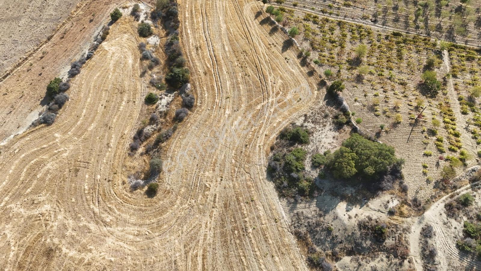 Hakev'den Oyalıda Satılık 894 M2 Arsa — fotoğraf 4
