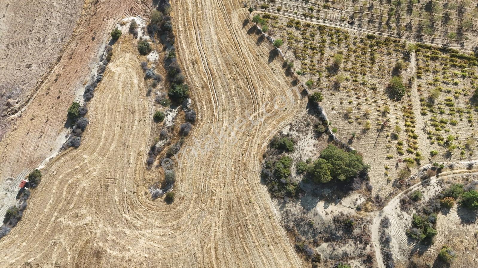 Hakev'den Oyalıda Satılık 894 M2 Arsa — fotoğraf 6