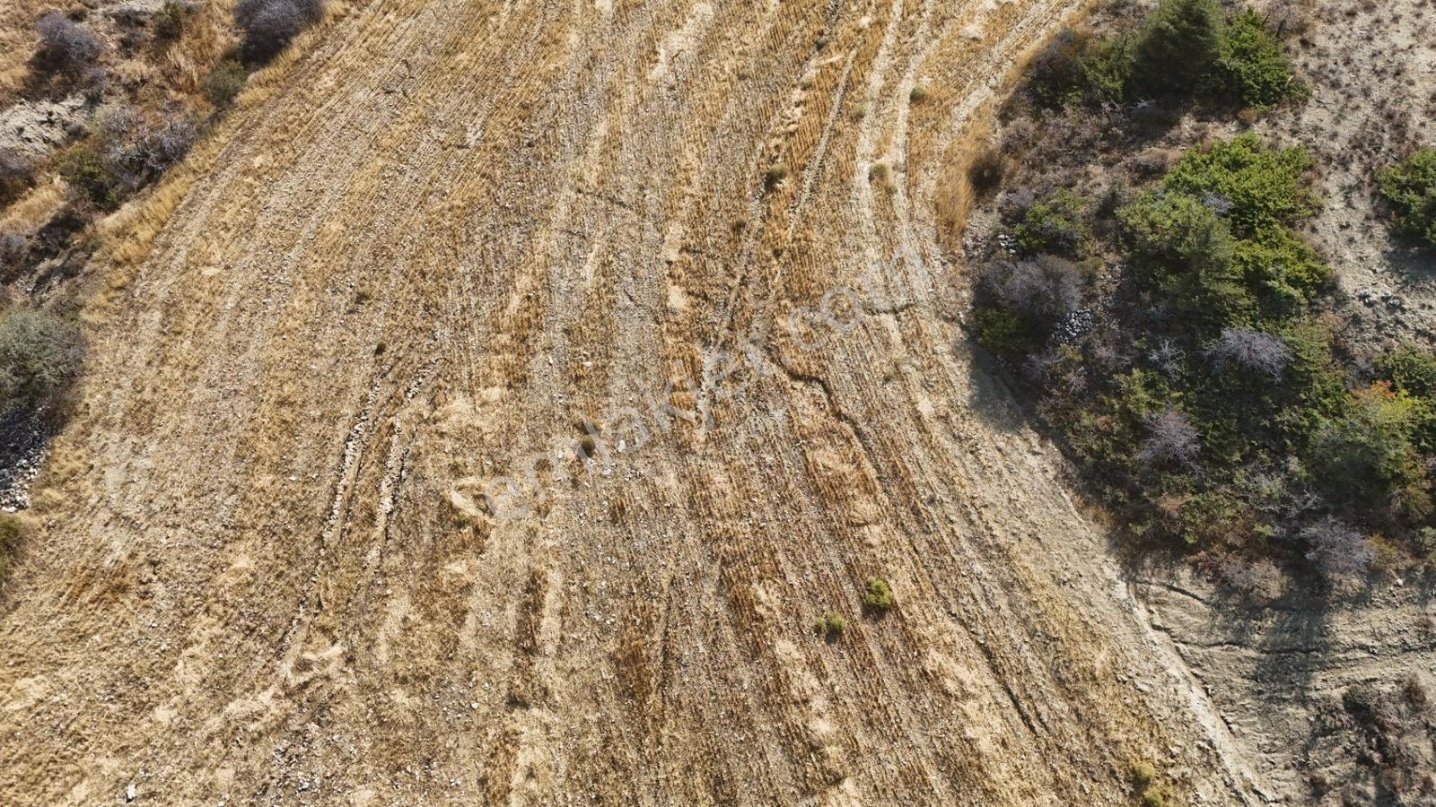 Hakev'den Oyalıda Satılık 894 M2 Arsa — fotoğraf 10