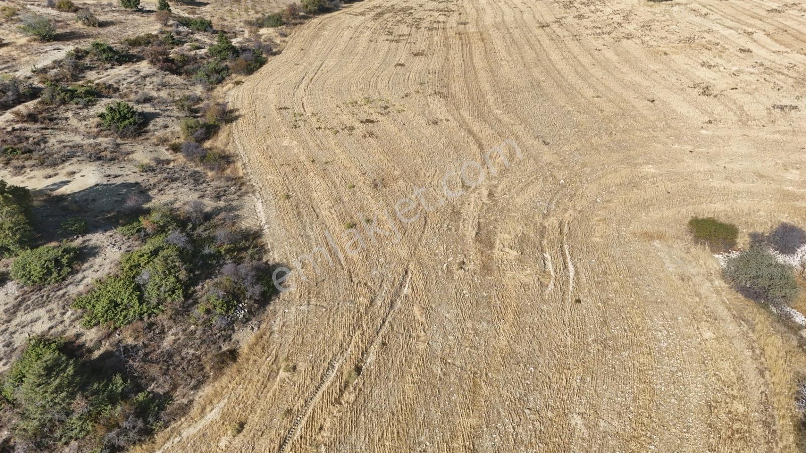 Hakev'den Oyalıda Satılık 894 M2 Arsa — fotoğraf 11